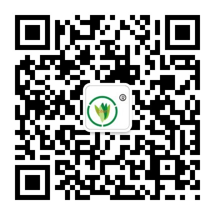 &#20061;&#24030;&#32593;&#39029;&#29256;&#45;&#20061;&#24030;&#40;&#20013;&#22269;&#41;&#95;&#20061;&#24030;&#40;&#20013;&#22269;&#41;